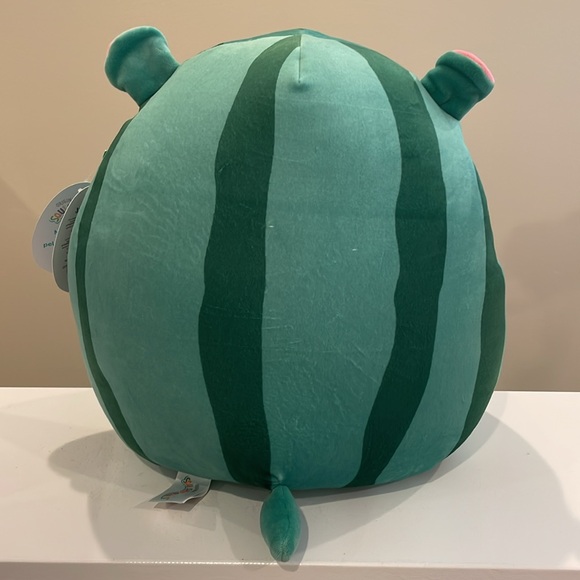 ⚡️NWT 12” Damaris the Watermelon Hippo 🍉 Squishmallow - Crossover Squad Series 1 - Picture 2 of 6